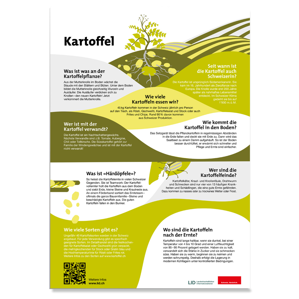 In attesa dell'immagine del prodotto