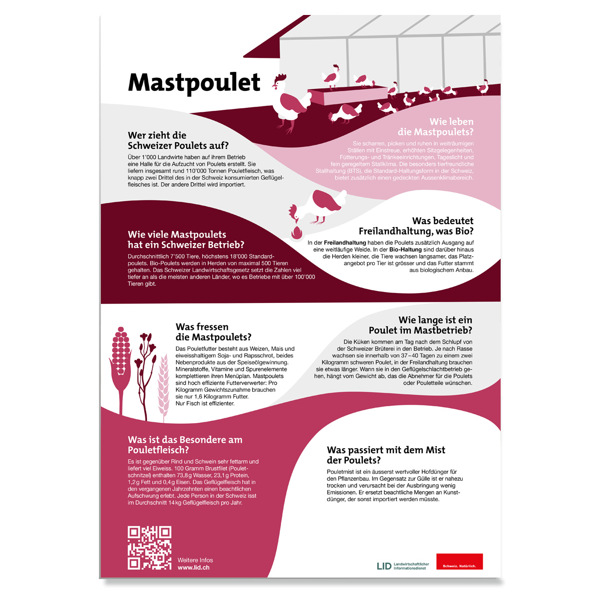 In attesa dell'immagine del prodotto