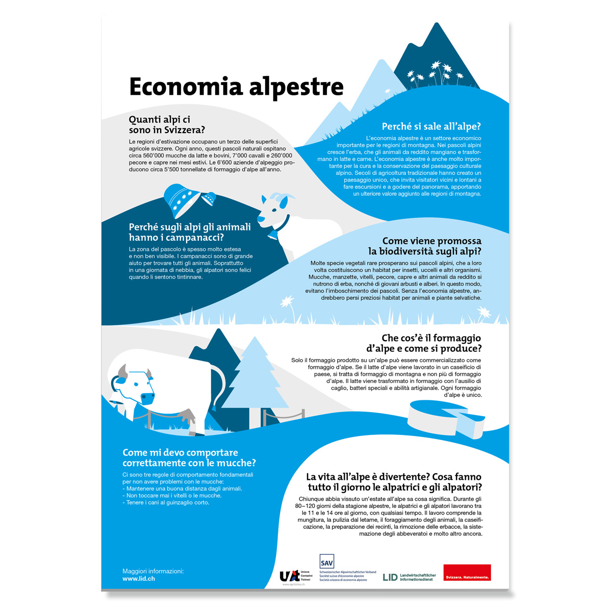 In attesa dell'immagine del prodotto