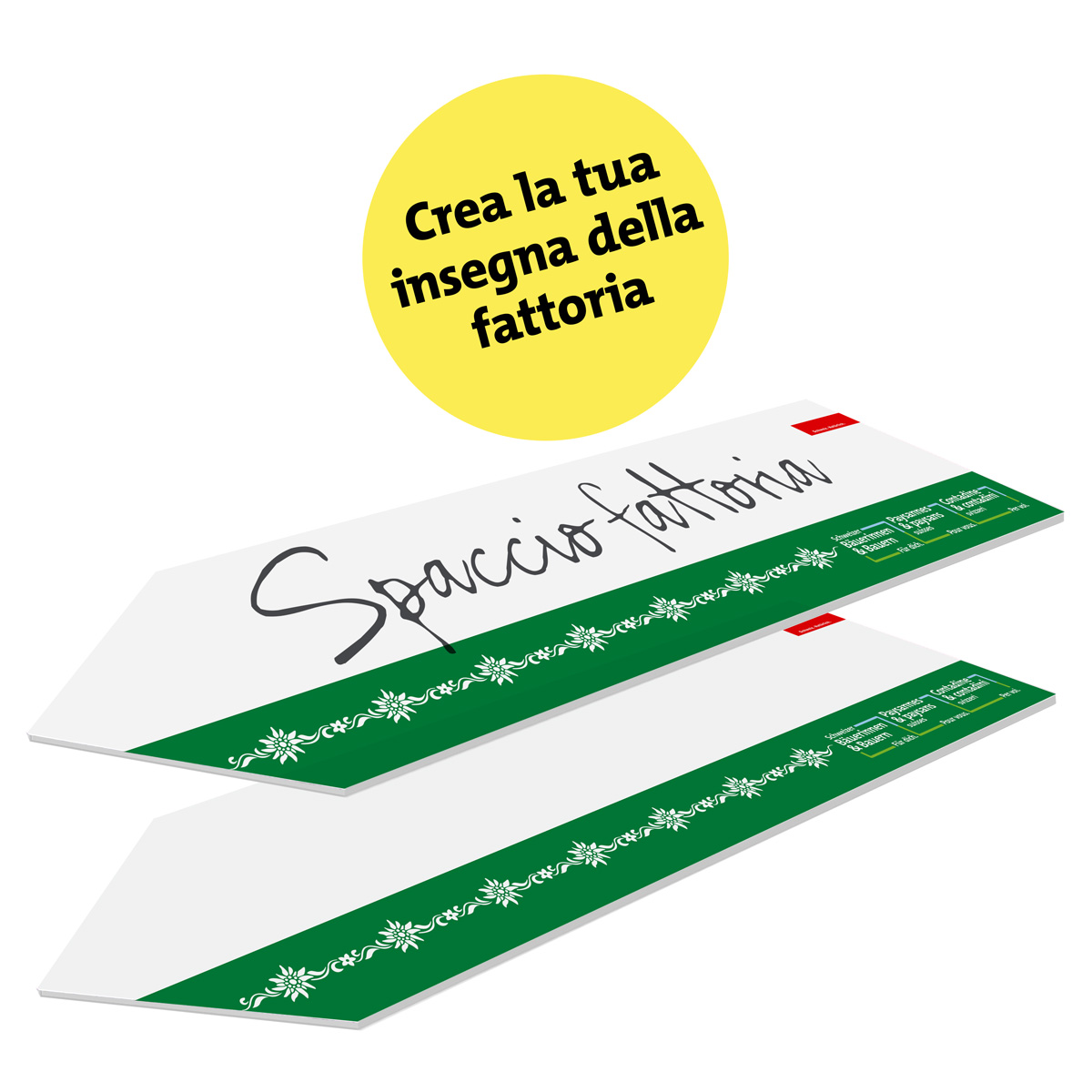 In attesa dell'immagine del prodotto