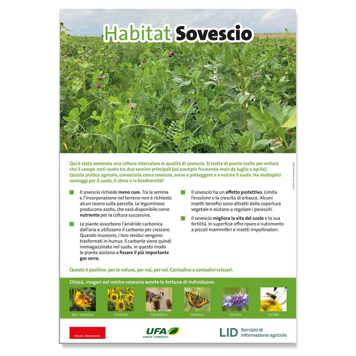 In attesa dell'immagine del prodotto